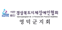 사단법인 한국지체장애인협회
